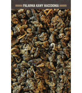 Yunann Spiral Green Palarnia Kawy Macedonia Łódź