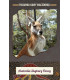 Australia Skybury Fancy Kawa arabika