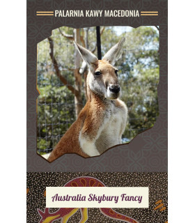 Australia Skybury Fancy Kawa arabika