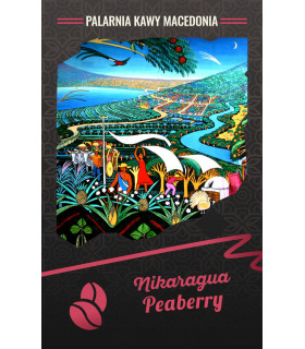 Nikaragua Peaberry Kawa arabika