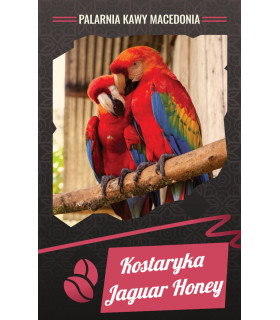 Kawa Kostaryka Jaguar Honey naturalna  arabika