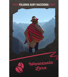 Wenezuela Lara Kawa arabika