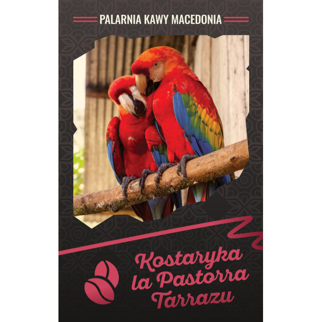Kostaryka La Pastora Tarrazu (Costa Rica) Kawa arabika