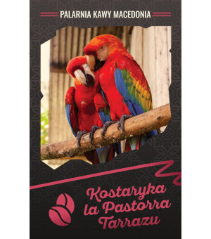 Kostaryka La Pastora Tarrazu (Costa Rica) Kawa arabika