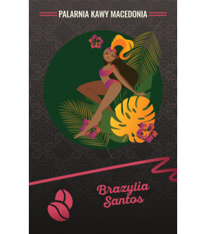 Brazylia Santos 17/18 Kawa naturalna