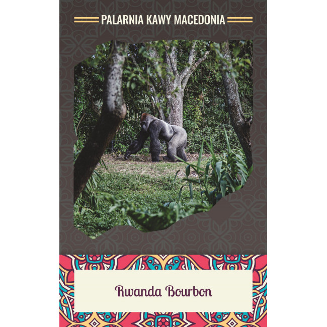 Rwanda Bourbon Kawa naturalna