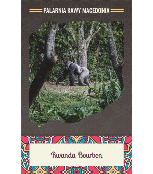 Rwanda Bourbon Kawa naturalna