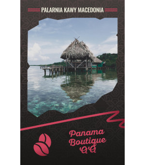 Panama Boquete SHB Kawa naturalna