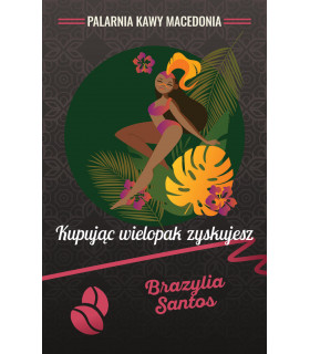 Brazylia Santos 17/18 3 kg Kawa naturalna