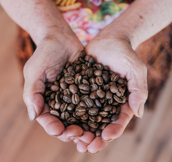 Zestaw dla koneserów